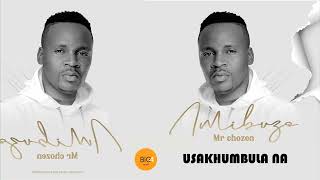 Mr Chozen  Usakhumbula na [upl. by Nerok]