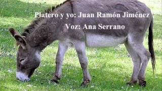 platero y yowmv [upl. by Niran]