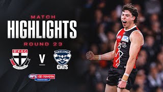 St Kilda v Geelong Highlights  Round 23 2024  AFL [upl. by Joash]