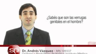 Verrugas genitales HPV en el hombre  Dr Andrés Vazquez [upl. by Aynotel]