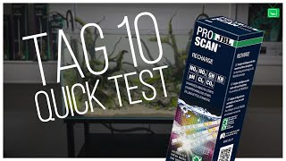 Mein 60P Aquascape  Tag 10  QUICK TEST  GarnelenTv [upl. by Anirbus]