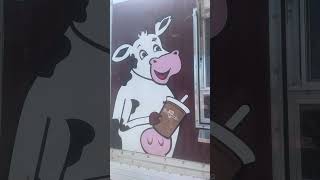 Best milkshakes in pa  Yummy  yum [upl. by Ailedua]