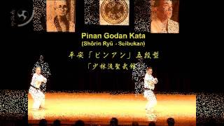 Pinan Godan KataShōrin Ryū  Seibukan 平安「ピンアン」五段型「少林流聖武館」 [upl. by Ddart]