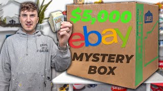 Unboxing The Most Expensive eBay Mystery Box Ive Ever Bought [upl. by Mairam]