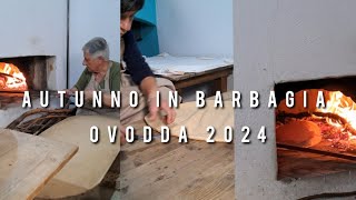 Autunno in Barbagia Ovodda 2024shorts [upl. by Nylarej]