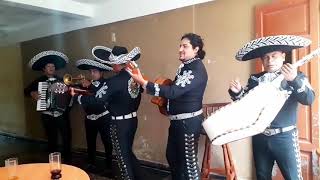 Feliz cumpleaños  MARIACHIS DE ORO [upl. by Madlen]