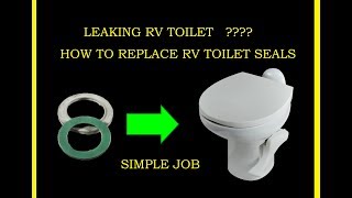 How to fix leaking THETFORD RV Toilet gasket seal flush valve not holding water replace [upl. by Einittirb]