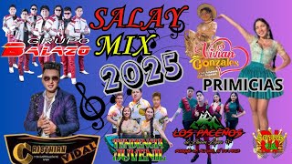 salay 2025 mix primicias  DJ DEYVID VM [upl. by Imik]