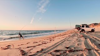 quotSolo Beach Fishing Australiaquot FISH  FOOD [upl. by Greenebaum692]