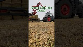 Stacking Hay Before Winter farming farmer shorts hayfarmfendt lovefarming [upl. by Alcinia]