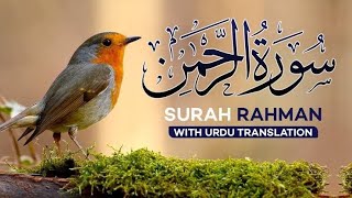 Surah Ar Rehman With Urdu translation  Qari Abdul Basit  Live [upl. by Ecraep]