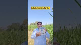 సమరంగణ సూత్రధారం vastubook harivastu telugu devullu com [upl. by Assillam]