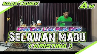 Secawan madu  Kristina karaoke nada cewek Am [upl. by Ariayek980]