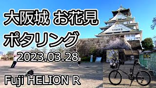 大阪城お花見ポタリング （202303）Fuji HELION R [upl. by Kremer]