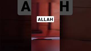 Surah Al Ankabut beautiful Quranic recite quran recite its not real video [upl. by Stepha47]