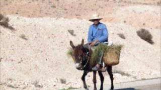 Riding donkey in greece [upl. by Alleiram]