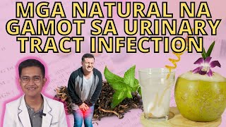 MGA NATURAL NA GAMOT SA URINARY TRACT INFECTION O UTI [upl. by Aihc]