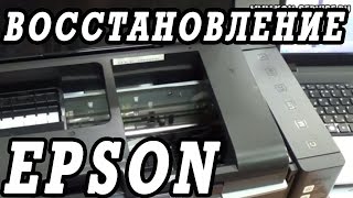 Что делать если не печатает принтер Epson L800 Щадящее восстановление за 4 дня [upl. by Stanislaus430]