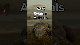 Swamp Animals Red Dead Redemption Two [upl. by Nylsirhc399]