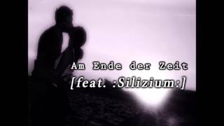 Desastroes Am Ende der Zeit feat SILIZIUM In Ewigkeit LP [upl. by Dnyletak]