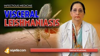 Visceral Leishmaniasis  Leishmania Donovani Disease  Medicine Lectures  VLearning [upl. by Finzer]