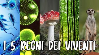 🦠🍄🌱🐹 I 5 REGNI DEI VIVENTI Monere Protisti Funghi Piante e Animali  Studiare SCIENZE 👩🏻‍🔬🔬 [upl. by Snoddy]