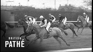 Grand National 1964 [upl. by Faruq]