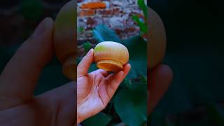 Bamboo design for home use purpose watch till the end ASMR shorts youtubeshorts art [upl. by Nalat]