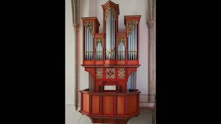 Fantasia in c BWV 562 Bach Koororgel Joriskerk [upl. by Adlesirk283]