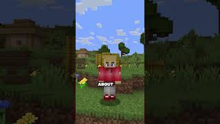 Speedrunning every Minecraft item Part 27 minecraft shorts [upl. by Ainoloppa]