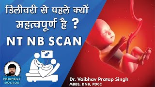 NT NB scan in Hindi  Ultrasound  Pregnancy Test [upl. by Rickart729]