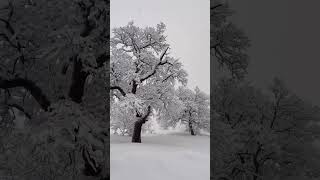 snowfall oneheart snowsnowfall snowman nightcore musicvideo snowwhite [upl. by Leirad]