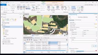 Summarizing Attribute Tables in ArcGIS Pro [upl. by Chema]