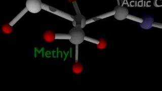 Science Animation amino acids [upl. by Ayar]