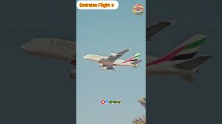 Emirates Flight ✈️ Flighting ✈️✅️🥀🥰😮 shorts Emiratesflight B2Alone [upl. by Chura]