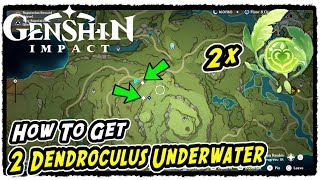 How to Get 2 Dendroculus Underwater at Vissudha Field Sumeru Genshin Impact [upl. by Renruojos]