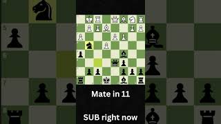 STAFFORD GAMBIT W [upl. by Atnahsal]