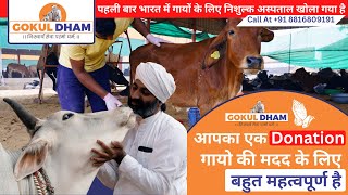 पहली बार भारत में गायों के लिए निशुल्क अस्पताल खोला गया है।  Gokul Dham Gau Sewa Mahatirth [upl. by Mandych]