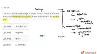 The most advanced kidneys in which loop of Henle is present are called metanephric [upl. by Llenahc]