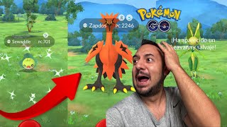 BUSCANDO AVES DE GALAR SHINY en COMMUNITY DAY SEWADDLE [upl. by Atteuqram604]