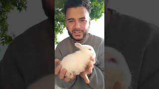 28 dias cuniculture pets rabits natural [upl. by Ajit201]