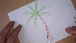 Palmiye Ağacı Nasıl ÇİzilirHow to Draw a Palm tree [upl. by Inalaek231]