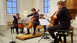 Dvorak Cellokonzert Bearbeitung für 5 Celli  Maximilian Hornung [upl. by Anan]