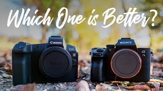 Canon EOS R vs Sony a7III  QUICKEST COMPARISON EVER [upl. by Neersan]