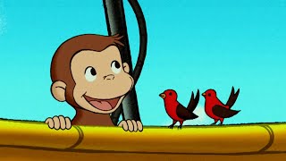 George va su su e via ðŸµ Curioso Come George ðŸµ Cartoni per Bambini [upl. by Levenson642]