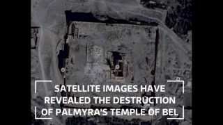 Destruction of Palmyra by Islamic State militants  Satellite images reveal scale of damage [upl. by Aciruam411]