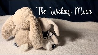 The Wishing Moon  A Jellycat short film 🌙 ✨ [upl. by Enyrhtac702]