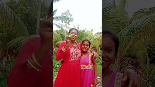 to pur to pur🏵️🏵️🏵️new Hindi Shorts video 🏵️🏵️🏵️🏵️🏵️🏵️🏵️ [upl. by Galven]