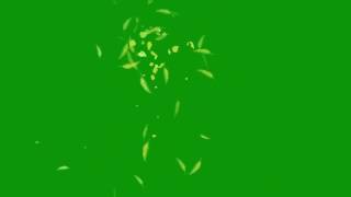 Penas Voando  Feather Particles Effect Fundo Verde  Chroma Key [upl. by Norraa]