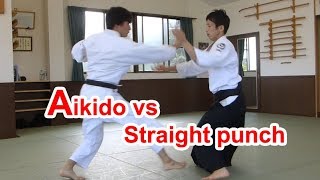 Aikido vs Straight punch（Possibility of Aikido） [upl. by Eillam]